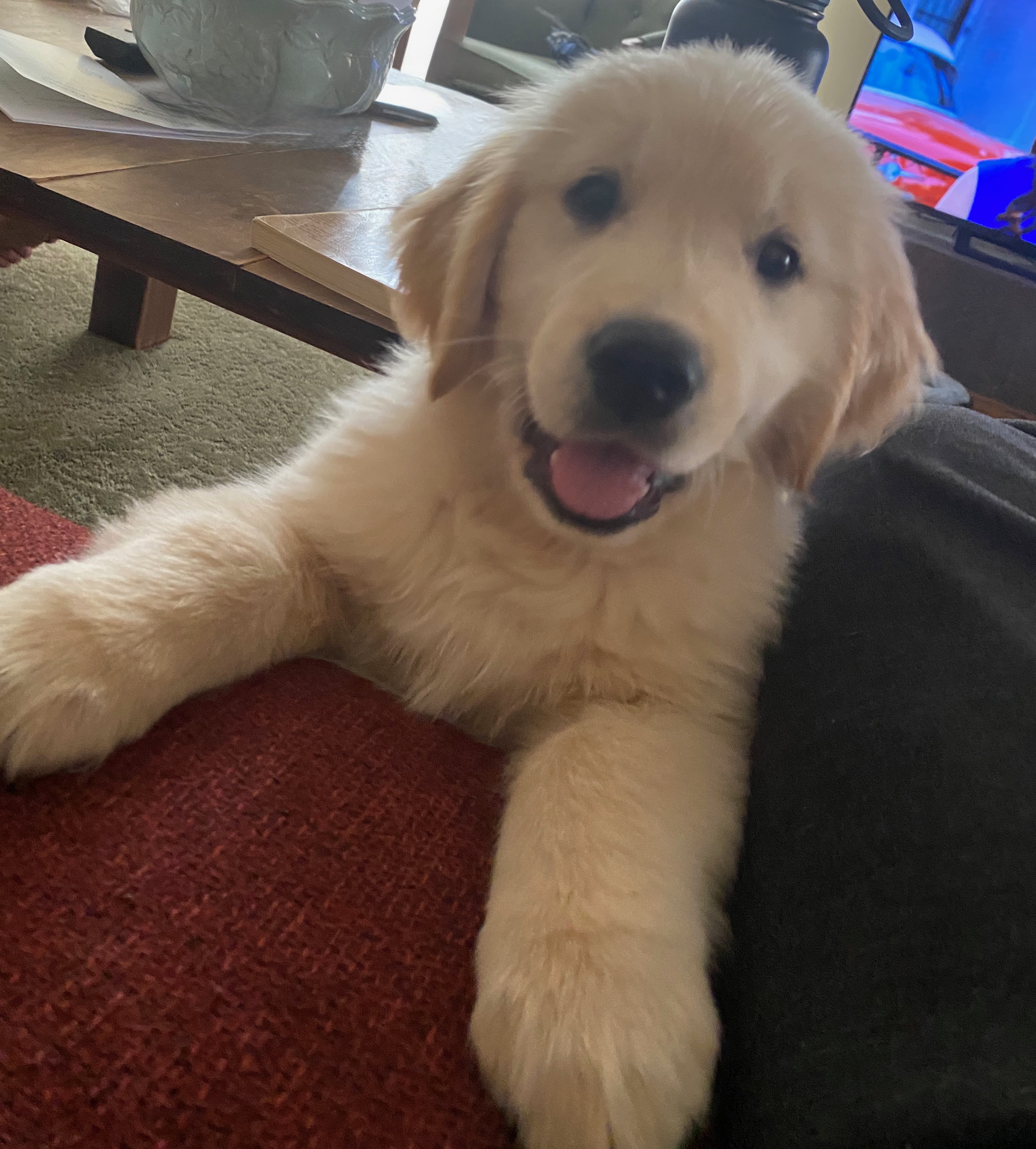 Baby Pics