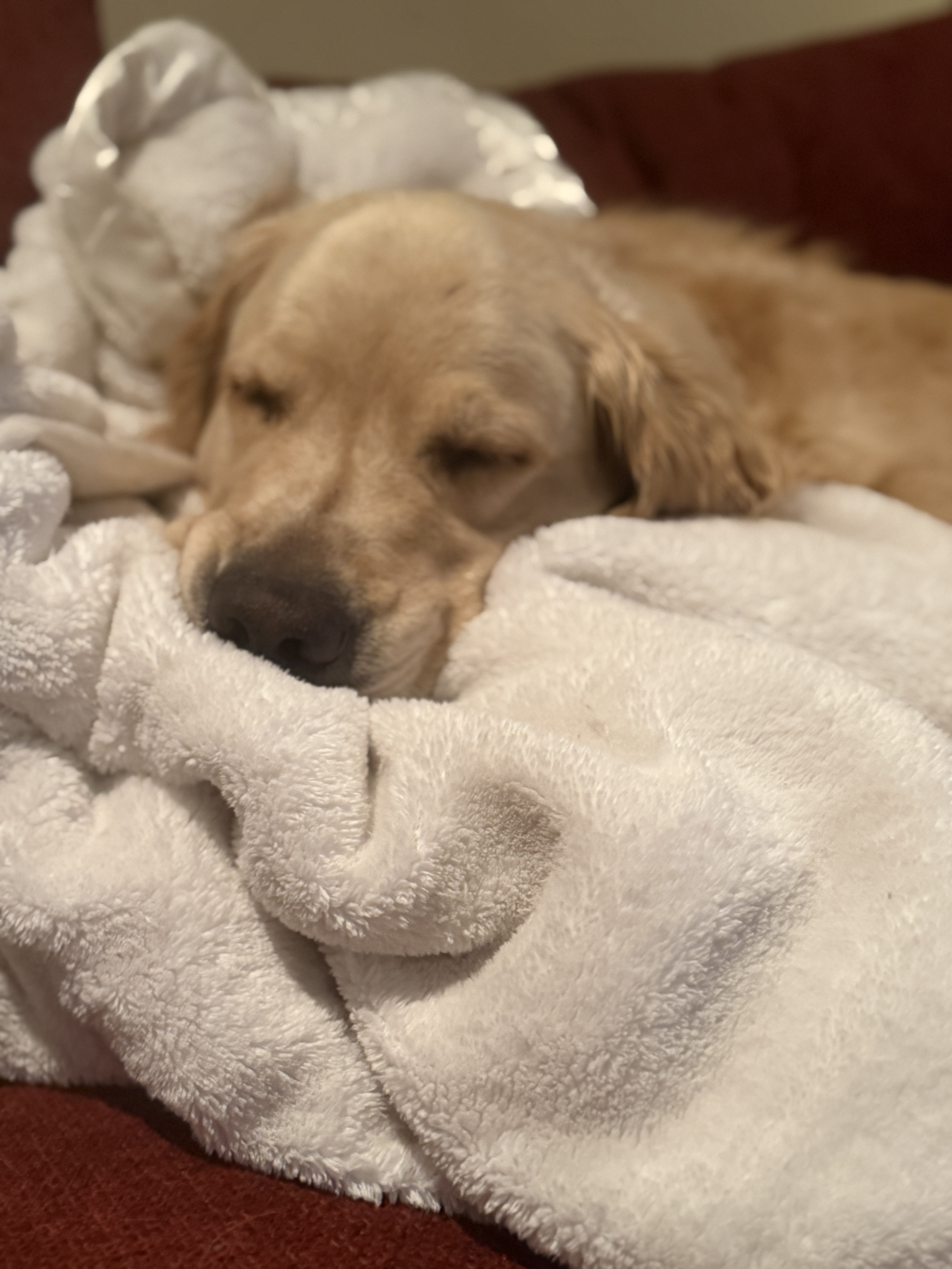 Fast Asleep